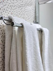 Fotografie z fotogalerie ubytování A-Hotel Ex Magistral v destinaci Solnechnyy + 31 fotografií