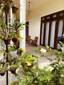 Fotografie z fotogalerie ubytování Well House v destinaci Minuwangoda