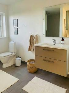 Koupelna v ubytování Historic Gatehouse At Søllestedgaard Manor