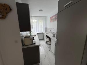 Η κουζίνα ή μικρή κουζίνα στο Urban Apartment