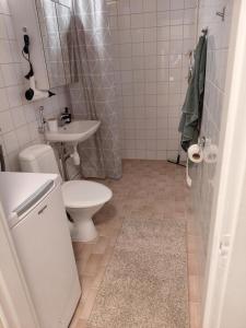 een badkamer met een wit toilet en een wastafel bij Viihtyisä huoneisto Ivalossa in Inari