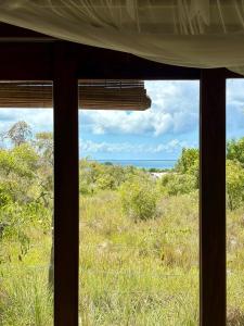 Příroda nedaleko prázdninového domu