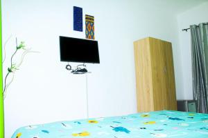 TV a/nebo společenská místnost v ubytování Résidences TODEGLA + 11 fotografií