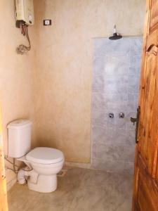 a bathroom with a toilet and a shower at Esewan siwa oasis in Siwa