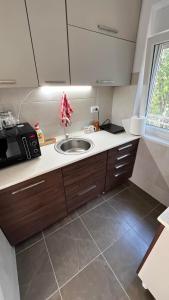 a kitchen with a sink and a microwave at Pokito House on the Hill in Sremski Karlovci