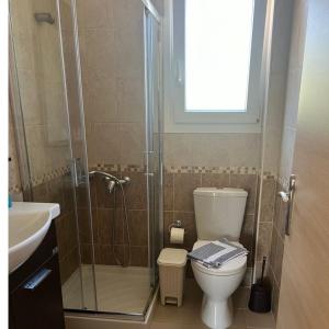 een badkamer met douche, toilet en wastafel bij Villa Voula agios Ioannis Lefkada in Lefkada