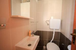 een kleine badkamer met toilet en wastafel bij Robinson Lenka in Selca kod Bogomolja