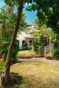 Κήπος έξω από το Beau Vallon Bungalows