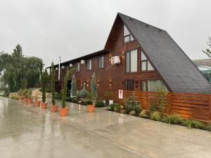 a wooden house with potted plants in front of it at Turnul ALB in Costeşti