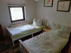 Dos camas en una habitación con ventana. en Wohnung am Waldesrand für Monteure, en Gräfenhainichen