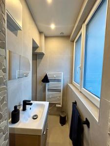 a bathroom with a sink and a window at Le cocon du centre in Pontarlier +29 photos