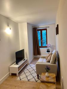 a living room with a couch and a flat screen tv at Le cocon du centre in Pontarlier