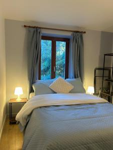 a bedroom with a large bed with a window at Le cocon du centre in Pontarlier