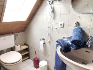 a small bathroom with a toilet and a sink at Ferienhaus Bleicken in Morsum +21 photos