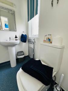 a bathroom with a white toilet and a sink at Tigh Na Sealladh in Dunoon