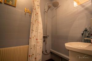 a bathroom with a shower curtain and a sink at FeWo Lille Lægehus in Hjørring +12 photos