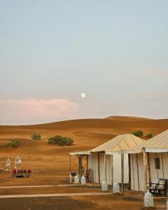 a couple of tents in the middle of the desert at Merzouga Glossy Camp in Merzouga