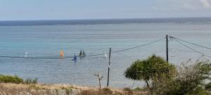 Φυσικό τοπίο κοντά σε αυτός ο ξενώνας +1 φωτογραφίες