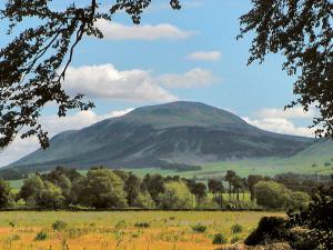 a mountain in the distance with a field and trees at Bracken Log Cabin - S4468 in Glenfarg +3 photos