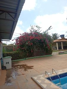 Bazén v ubytování Espaço relax nebo v jeho okolí