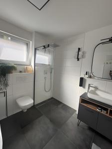 a bathroom with a shower and a toilet and a sink at Willkommen in Ihrem Luxus-Penthouse in Ziegelhausen