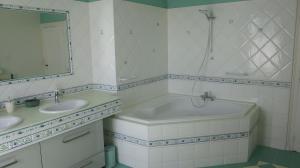 une salle de bains avec baignoire, deux lavabos et douche dans l'établissement Gîte Avec Piscine La Petite Gironde, à Porchères 26 autres photos