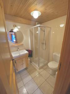 een badkamer met douche, wastafel en toilet bij Chalet La Rose in Montriond +18 foto's