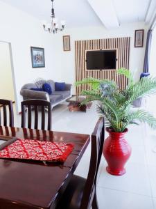 a living room with a table and a plant in a vase at Pro Max Guesthouse Goodwood in Goodwood