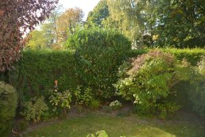 a garden with green bushes and trees and a yard at Kiek mol in in Ottensen