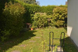 a garden with a fence and some bushes at Kiek mol in in Ottensen