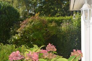a garden with pink flowers and a hedge at Kiek mol in in Ottensen +17 photos