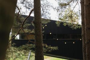 a house in the woods with christmas lights at Blackview cabin in Kulautuva +8 photos