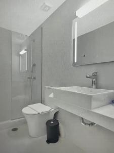 une salle de bain avec un lavabo, des toilettes et un miroir dans l'établissement Holiday Nest, à Porto Heli
