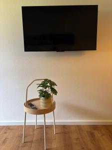een plant die op een tafel onder een tv staat bij Haus Elisabeth in Sankt Martin bei Lofer