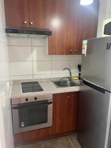 mała kuchnia ze zlewem i lodówką w obiekcie Gutti Alojamientos w mieście El Cerrillo