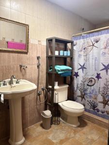 Koupelna v ubytování Casa con pisicina Coronado