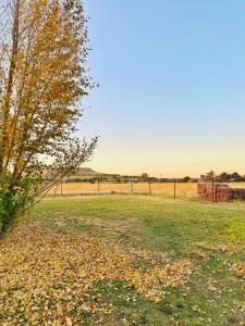 Φυσικό τοπίο κοντά σε αυτό το κατάλυμα σε φάρμα