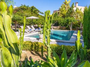 Бассейн в Finca Tito y Yaya или поблизости