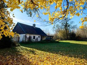 a house in the fall with leaves on the grass at Na Żurawim Wzgórzu in Pasym