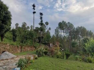 a garden with a palm tree in the background at The Heaven Town in Hawālbāgh