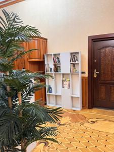 ein Zimmer mit Bücherregal und Pflanze in der Unterkunft Veluna Inn Hostel in Baku