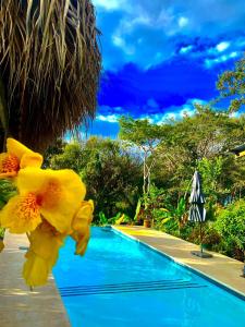 a swimming pool next to a resort with yellow flowers at Casa Boa Casita in La Abuela