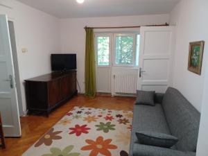 un salon avec un canapé et une télévision dans l'établissement Homely Cozy Place, à Bucarest