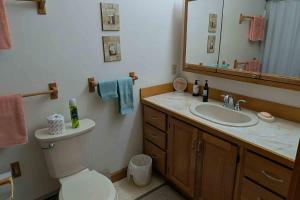 a bathroom with a toilet and a sink and a mirror at High View in Dyer Cove +22 photos