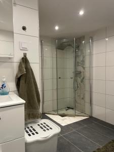 a bathroom with a shower with a toilet and a sink at Stenkällan - snabbuss 5 in Malmö