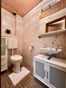 un baño con inodoro y lavabo en Apartment Sonnenglück im Schwarzwald with Panoramaview, Terrace, 3 Bedrooms, en Bad Peterstal-Griesbach