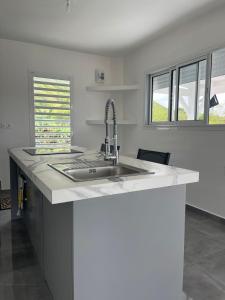 una cucina con un lavello e un piano di lavoro di Villa Bel'Horizon a Bielle