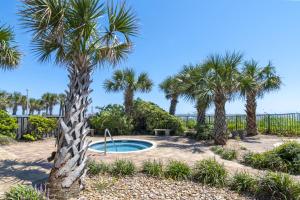 a palm tree and a swimming pool with palm trees at Palace Resort in Myrtle Beach +26 photos