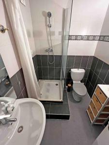 a bathroom with a shower and a toilet and a sink at Cosy appartement, Nancy center in Nancy