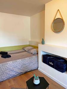 a room with a bed with a mirror and a table at Cosy appartement, Nancy center in Nancy